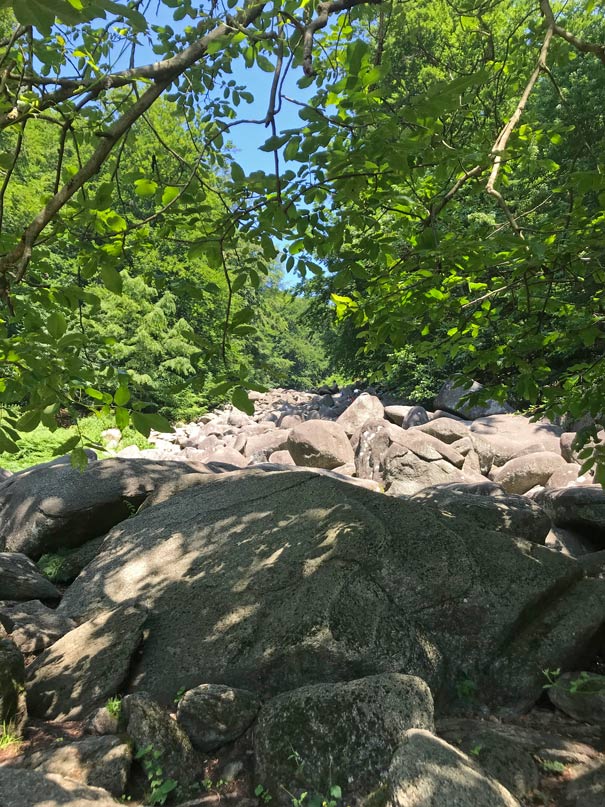 felsenmeer-odenwald-roemische-ausflugsziele-mit-kindern-deutschland