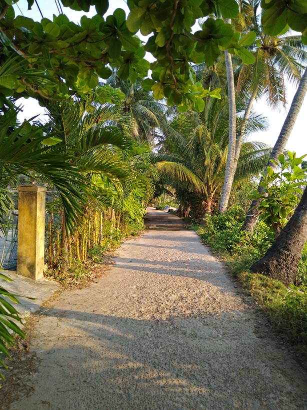 Hoi An in Vietnam - Traumstrand zum Verlieben hoi-an-in-vietnam