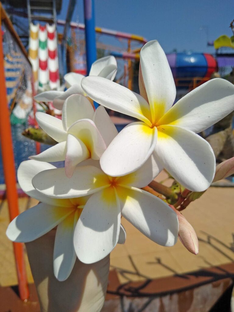 wasserpark-thailand-suedostasien-fuer-familien