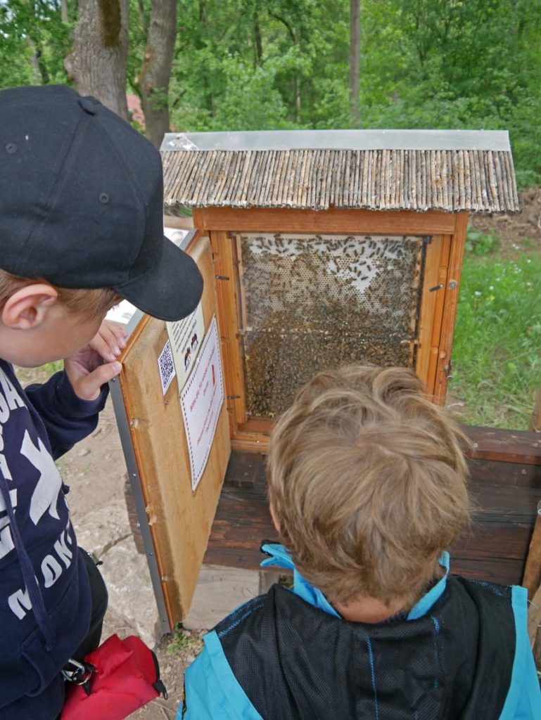 Thüringer Schiefergebirge - mehr als nur die Feengrotten Saalfeld feenweltchen-feengrotte-saalfeld-ausflug-thüringer-schiefergebirge-mit-kindern