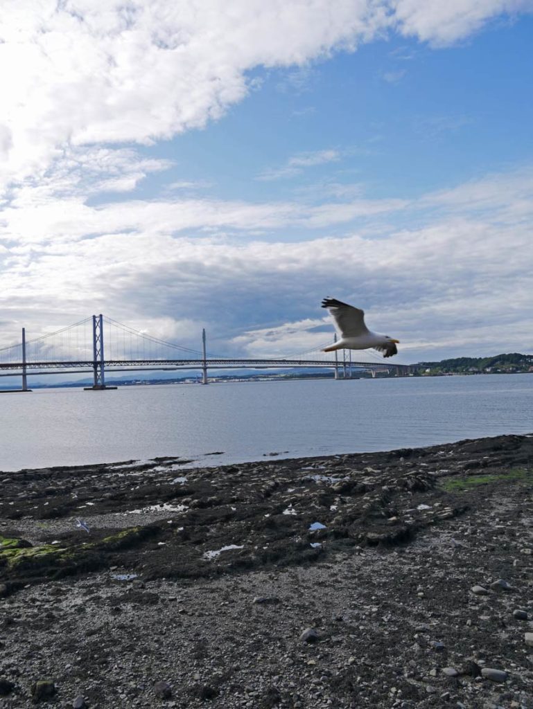 Rundreise von England nach Schottland river-forth-schottland-rundreise-mit-kindern
