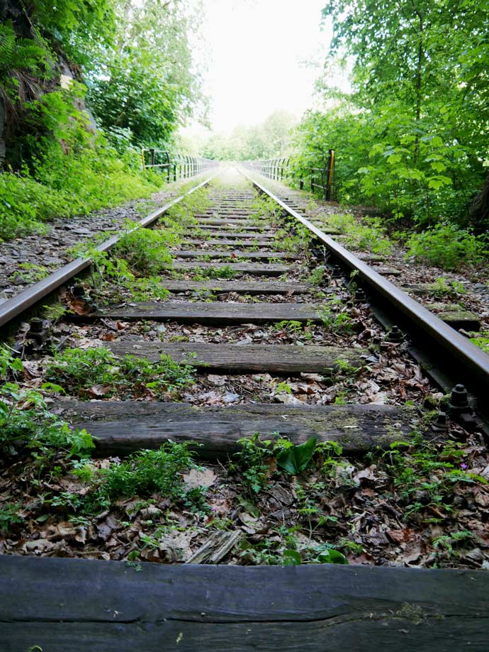 stillgelegter-eisenbahntunnel-lost-place-thueringen-mit-kindern