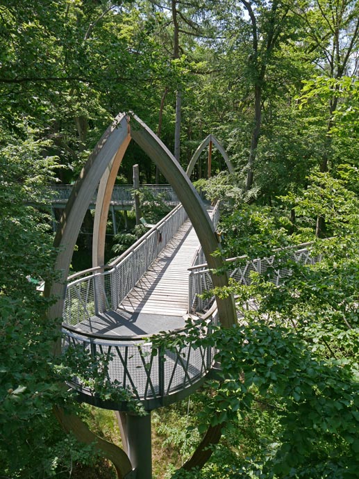 Edersee - Sehenswürdigkeiten mit Kindern tree-top-walk-baumwipfelpfad-sehenswuerdigkeiten-edersee-mit-kindern