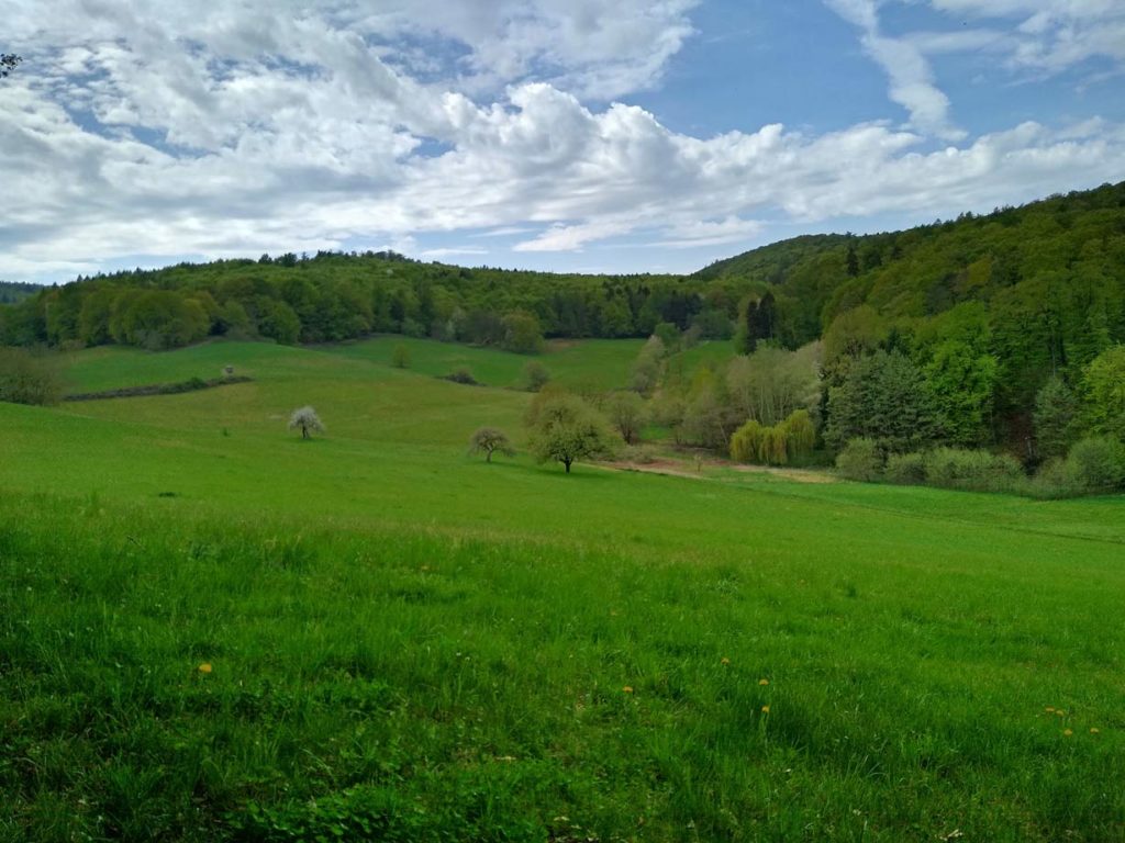 stay-at-home-unsere-weltreise-pause