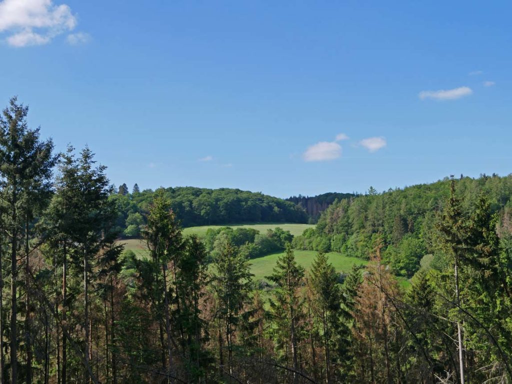 Edersee - Sehenswürdigkeiten mit Kindern wandern-nationalpark-kellerwald-edersee-mit-kindern