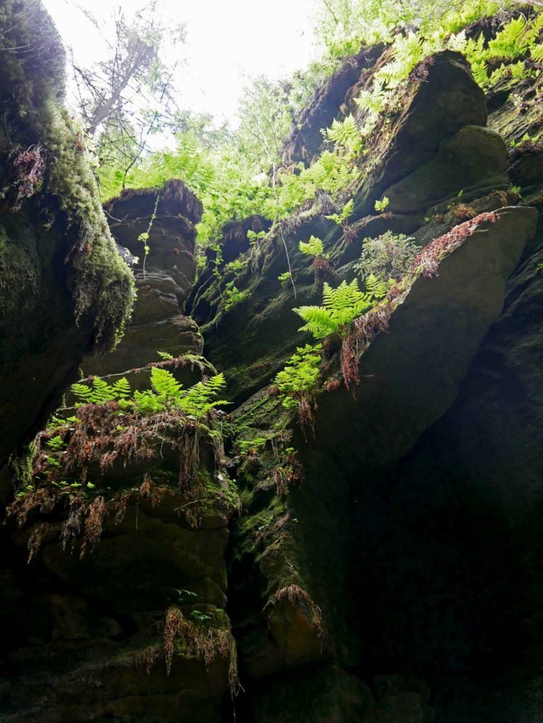 Sächsische Schweiz mit Kindern - ein Erlebnis für Alle schlucht uttewalder grund saechsische schweiz mit kindern