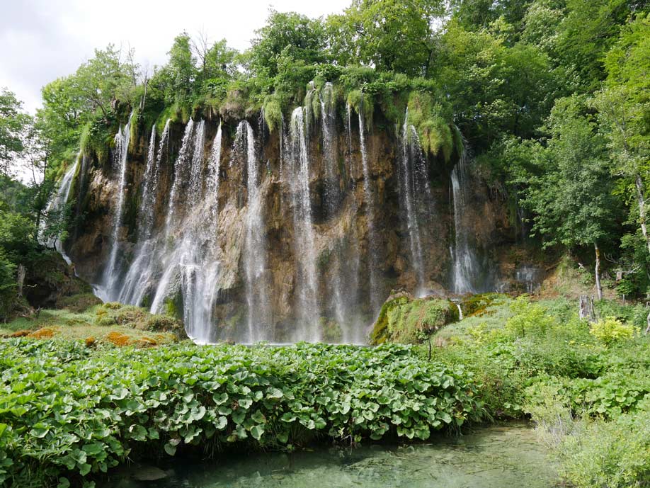 Kroatien Route - der ultimative Kroatien Familienurlaub wasserfall-in-gruener-landschaft-in-den-plitvicer-seen-kroatien