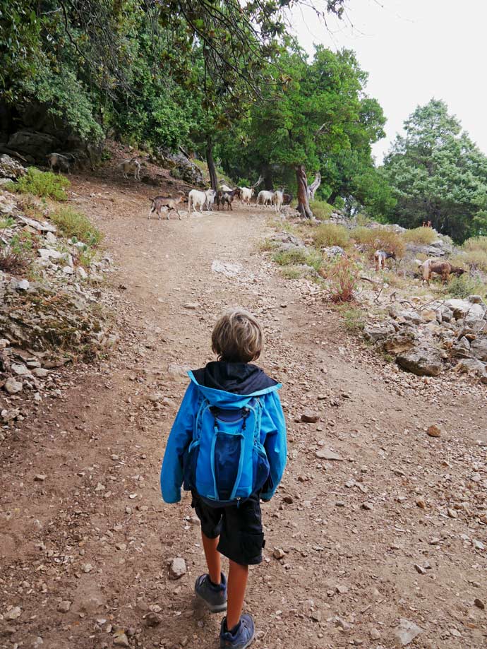 Sardinien mit Kindern - 9+ Highlights für den Familienurlaub gola-gorropu-wanderung-canyon-sardinien-mit-kindern