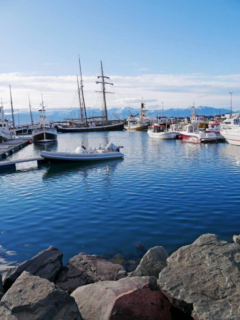 16 Nordisland Sehenswürdigkeiten, die ihr nicht verpassen dürft! fischerboote-im-hafen-husavik-nordisland