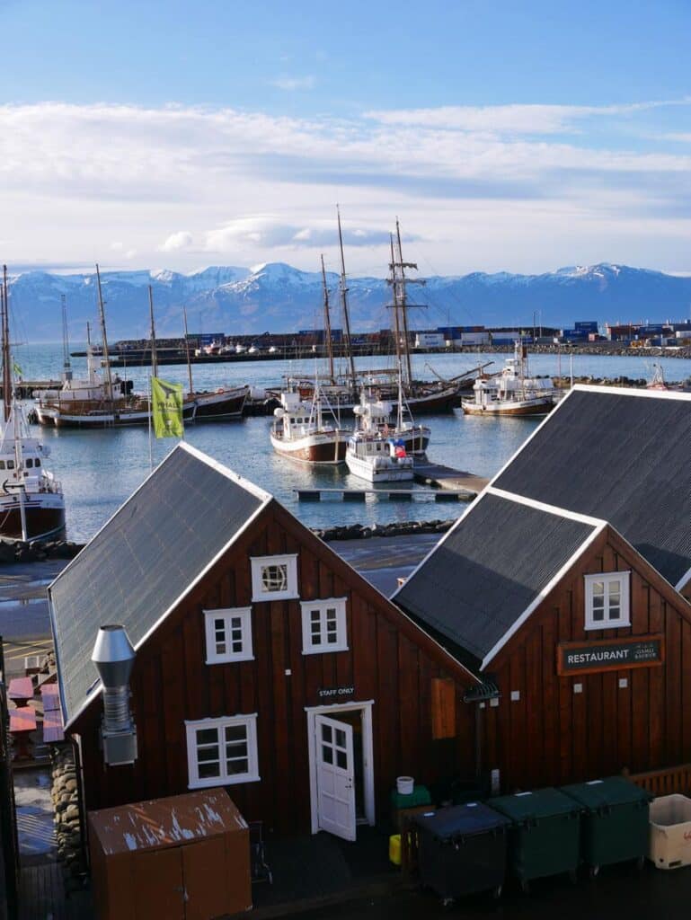 16 Nordisland Sehenswürdigkeiten, die ihr nicht verpassen dürft! fischerhaeuser-im-vordergrund-dahinter-hafen-mit-fischerbooten-in-akureyri