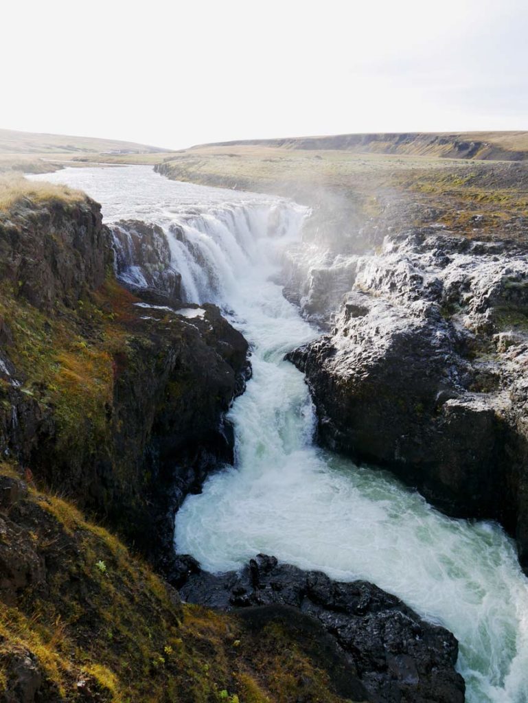 Nordisland - 16 Ziele zwischen Feuer und Eis kolugljufur-canyon-nord-island-mit-kindern