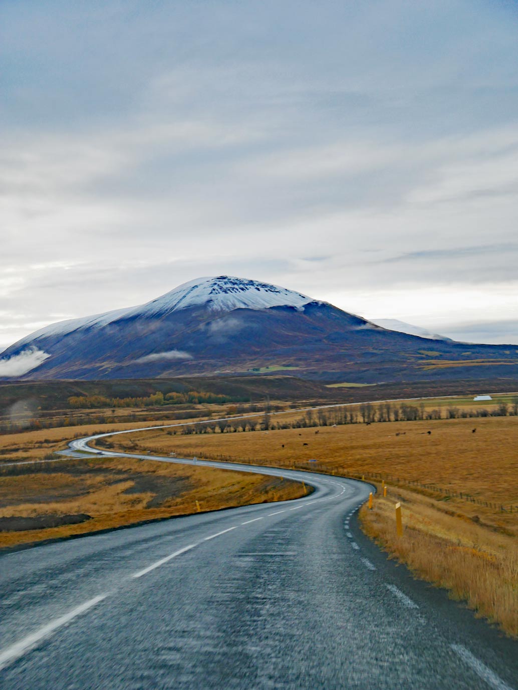 Verpasst nicht diese 16 Nordisland Sehenswürdigkeiten ♨️!