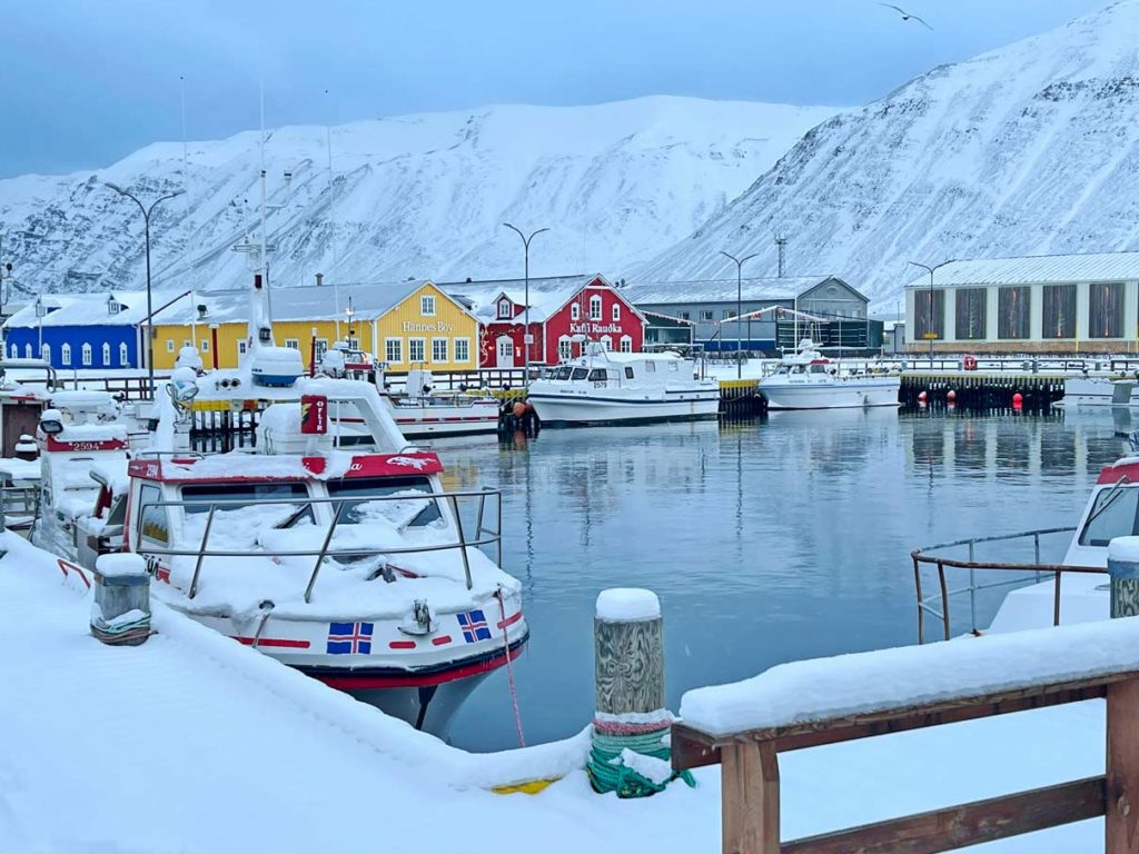 16 Nordisland Sehenswürdigkeiten, die ihr nicht verpassen dürft! hafen-in-kleiner-stadt-in-nordisland-mit-blick-auf-boote-am-verschneiten-hafen-und-bunten-haeusern-in-siglufjoerdur