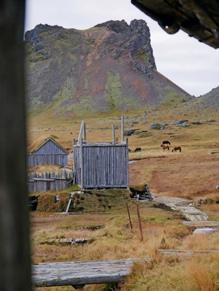 wikingerdorf-stokksnes-ost-island-mit-kindern