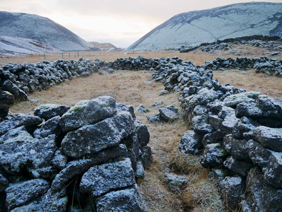 13 Sehenswürdigkeiten in Westisland und Reykjavik rettir-schafsabtrieb-west-island