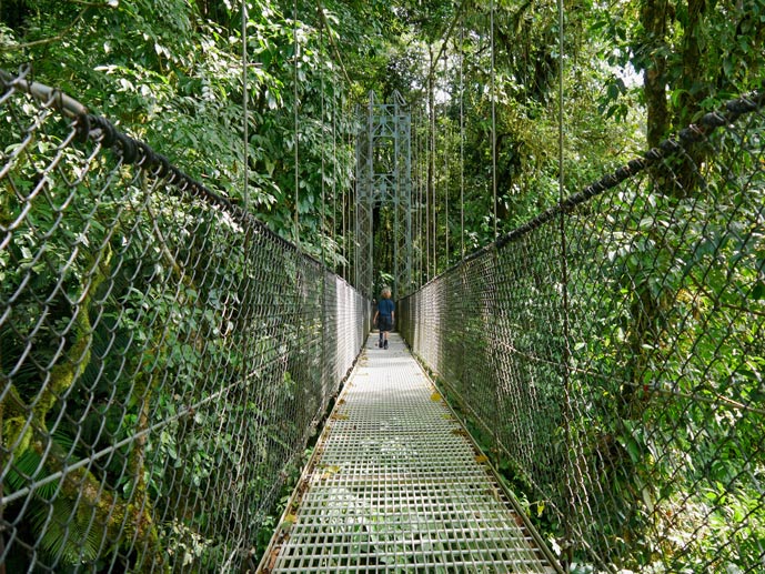 hanging-bridges-la-fortuna-costa-rica-mit-kindern-tipps