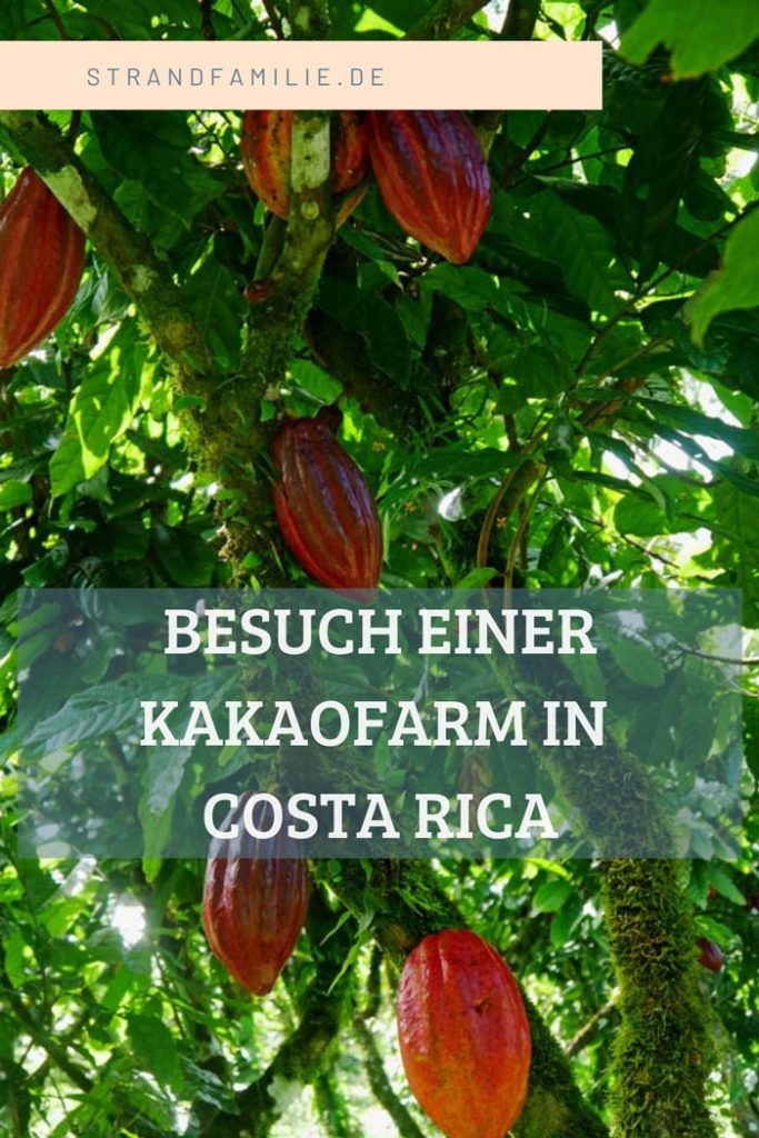 Kakaofarm in Costa Rica - Urlaub mal etwas anders kakaofarm-pinterest
