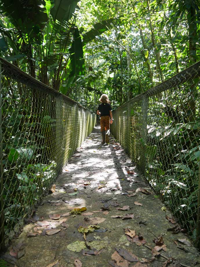 kind spaziert über brücke durch wilde costa rica landschaft