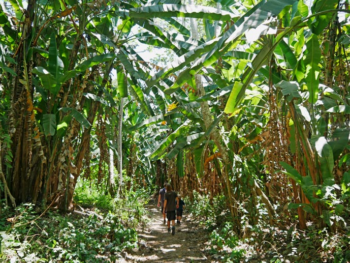 Pazifikküste Costa Rica - die schönsten Strände und Nationalparks carara-nationalpark-pazifikkueste-costa-rica-mit-kind