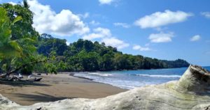 Read more about the article Corcovado Nationalpark – Artenvielfalt auf der Halbinsel Osa