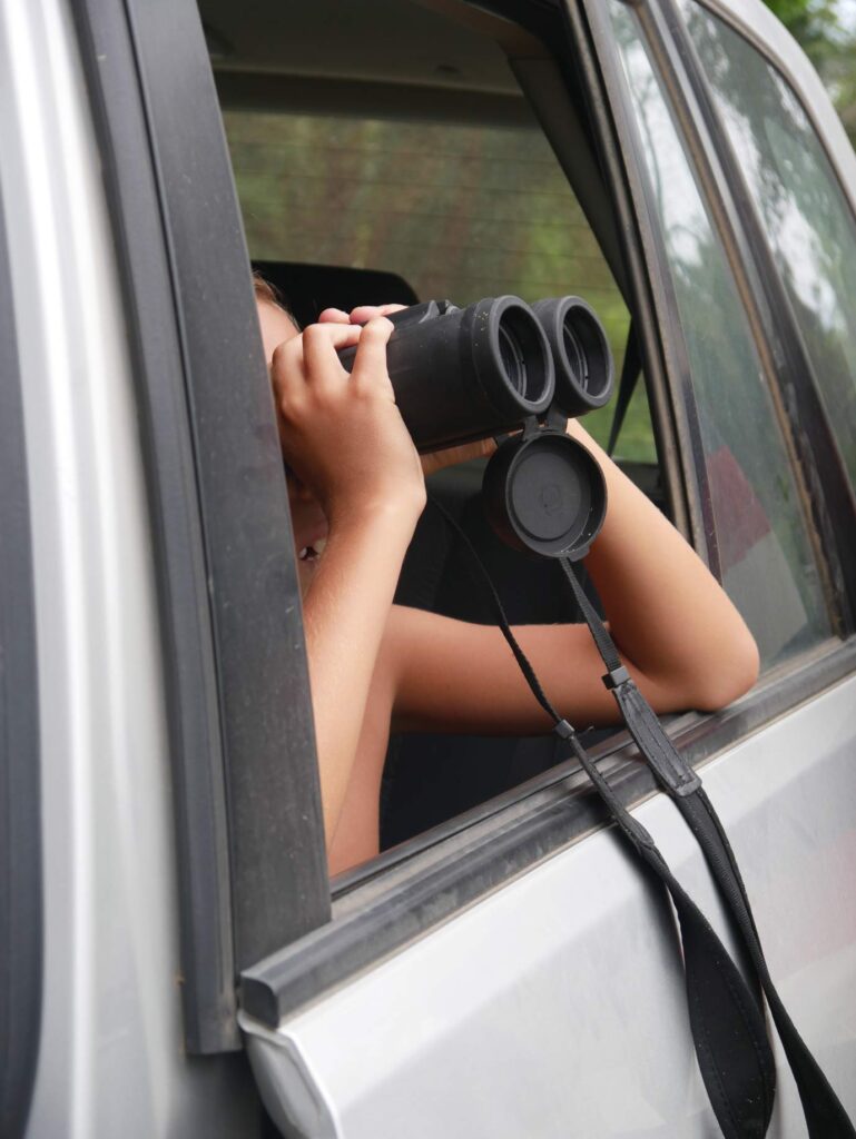 kind beobachtet mit fernglas tiere aus dem auto in costa rica