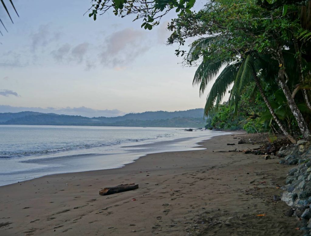 Corcovado Nationalpark - Artenvielfalt auf der Halbinsel Osa drake-bay-halbinsel-osa-costa-rica-mit-kindern
