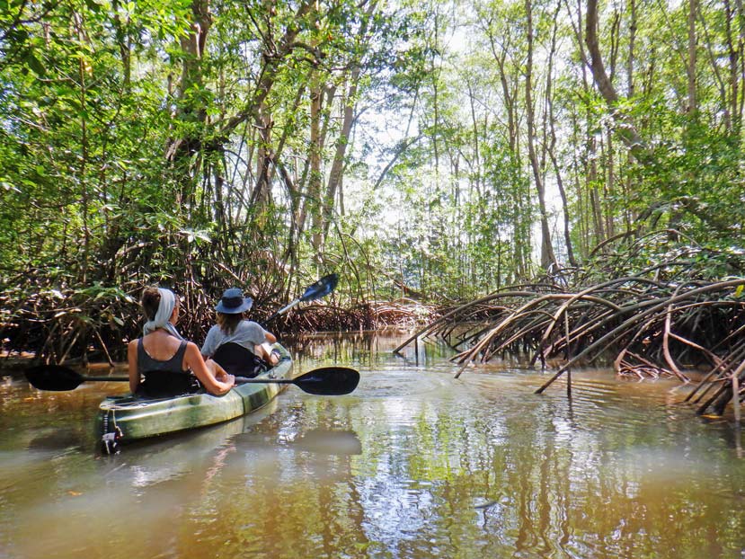 kajaktour-mangroven-ausfluege-costa-rica-mit-kindern