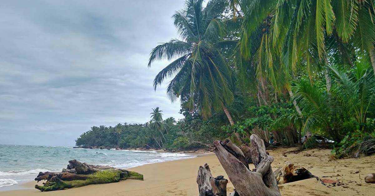 Du betrachtest gerade Costa Rica Karibikküste – Pura Vida on point