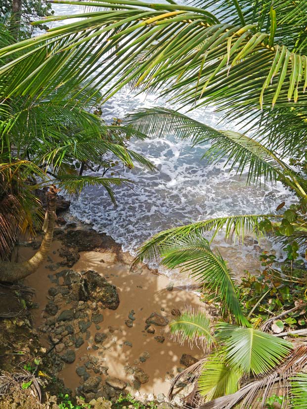 blick-von-oben-auf-goldenen-sandstrand-der-grün-bewachsen-ist-mit-palmen-und-einstroemenden-wellen-am-manzanillo-strand-karibikkueste-costa-rica