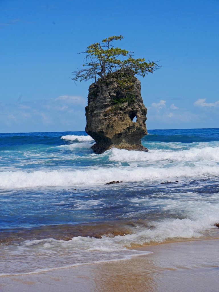 hoher-fels-mitten-im-blau-leuchtenden-meer-auf-dem-fels-waechst-ein-baum-in-costa-rica-karibikkueste