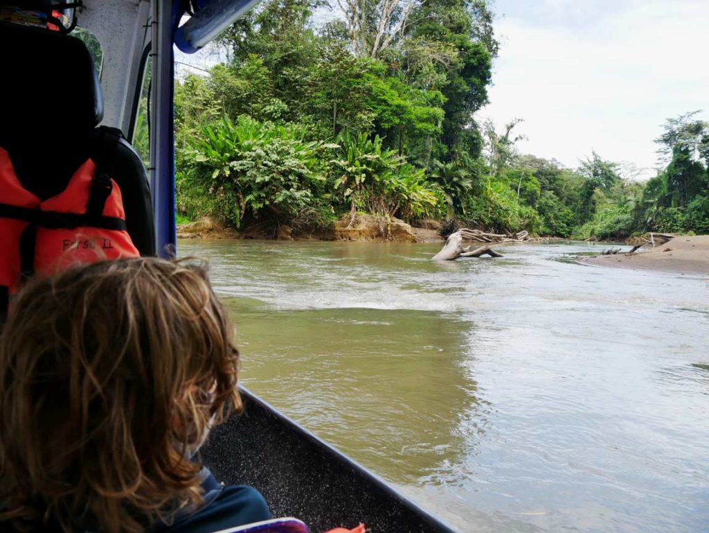 kind-blickt-aus-kleinem-boot-auf-den-braunen-fluss-und-den-dschungel-im-tortuguero-nationalpark-in-costa-rica