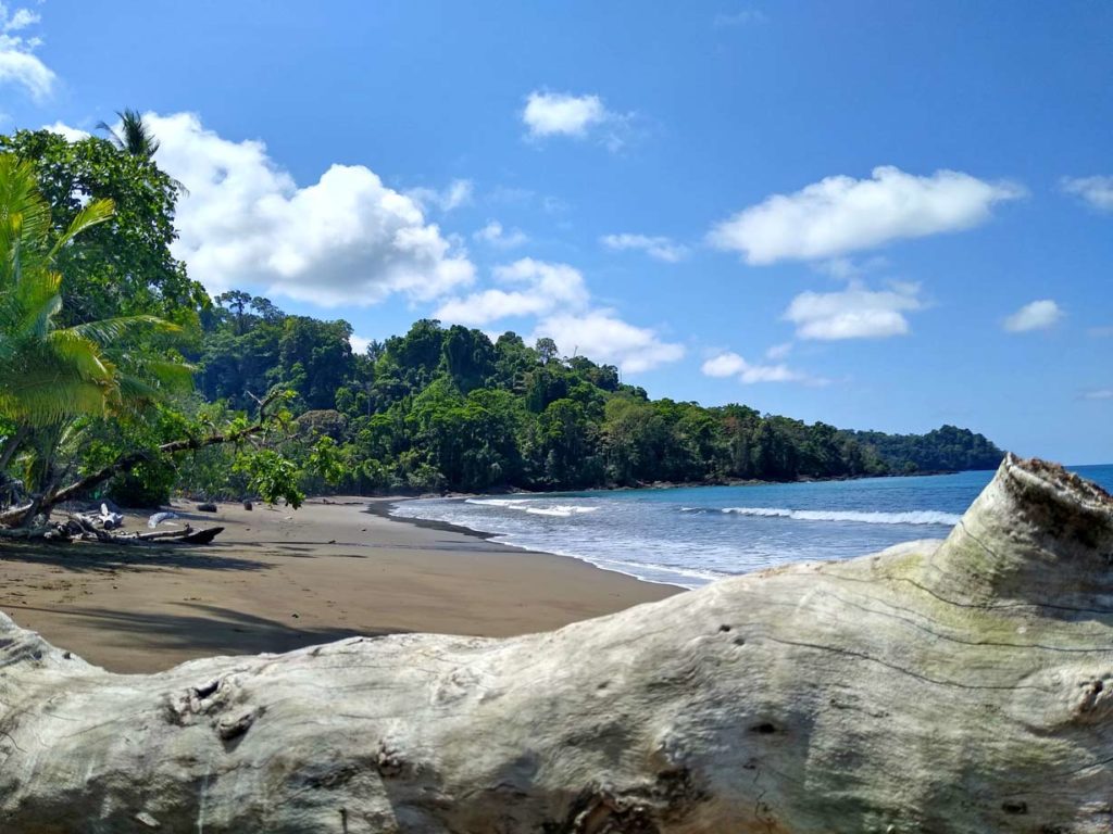 Corcovado Nationalpark - Artenvielfalt auf der Halbinsel Osa playa-san-josecito-drake-bay-mit-kindern