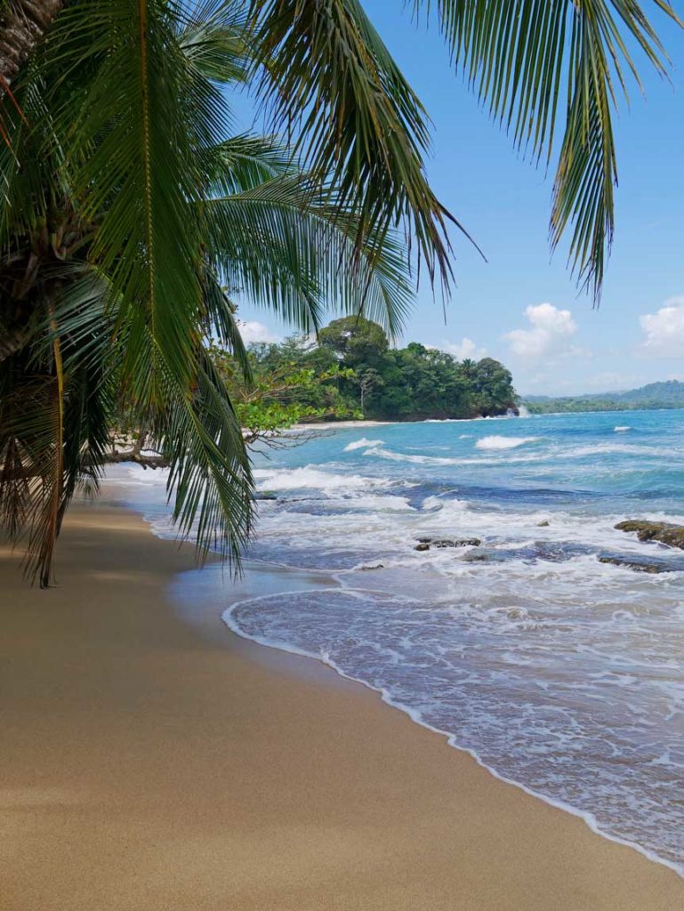 goldener-sandstrand-mit-palmen-fast-im-hellblauen-meer-am-punta-uva-in-costa-rica