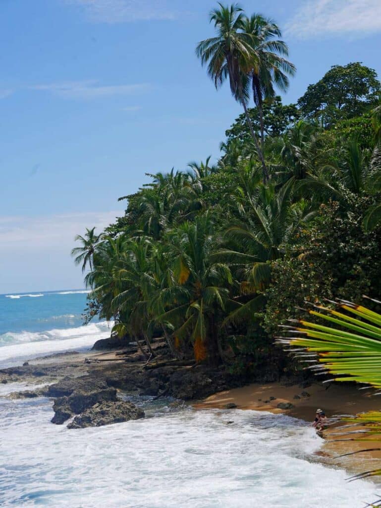 dichter-dschungel-mit-palmen-am-goldenen-sandstrand-weisse-wellen-spuelen-an-den-strand-an-der-karibikkueste-costa-rica