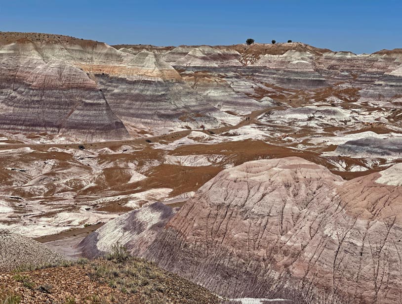 petrified-forest-nationalparks-der-usa