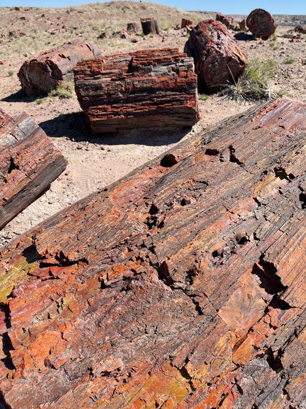Von der Ostküste zur Westküste der USA - unsere Route quer durch die Vereinigten Staaten petrified-forest-usa-reise-mit-kindern