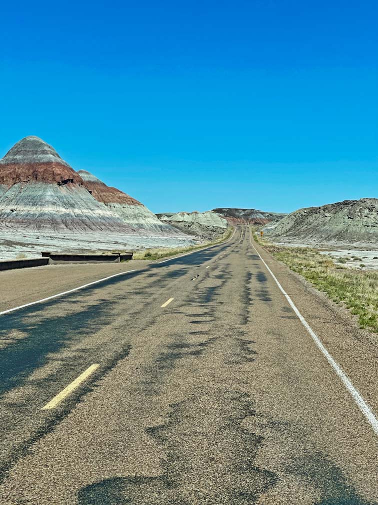Von der Ostküste zur Westküste der USA - unsere Route quer durch die Vereinigten Staaten roadtrip usa petrified forest