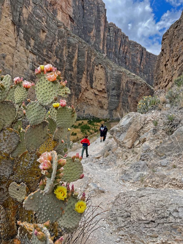 tipps big bend nationalpark texas mit kindern