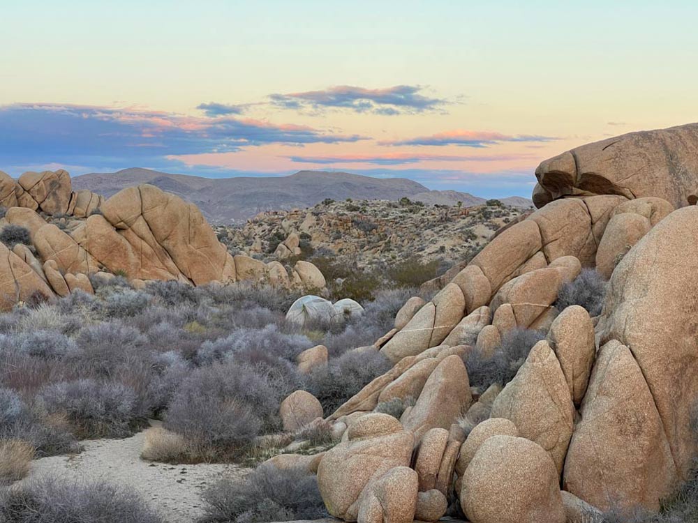 joshua tree nationalpark in den usa