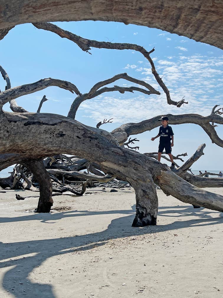 kind-klettert-ueber-driftwoods-jekyll-island-roadtrip-ostkueste-usa-georgia