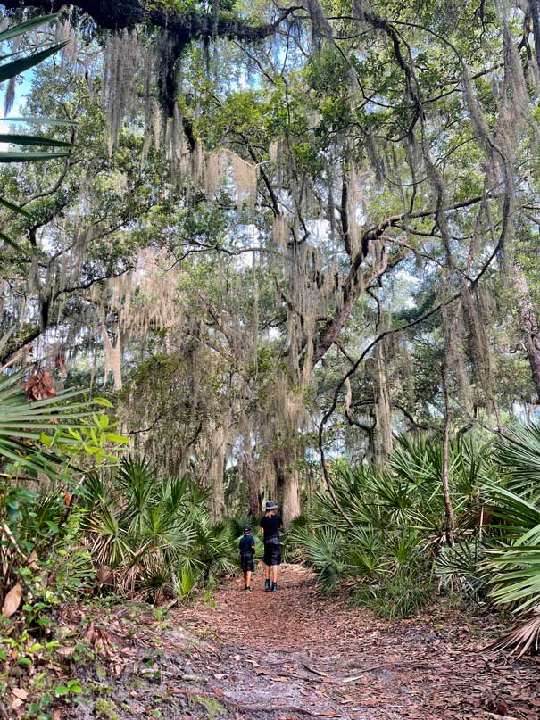 westkueste-oder-ostkueste-usa-mit-kind-ostkueste-jekyll-island-georgia-wanderweg-mit-baeumen-voller-spanish-moss