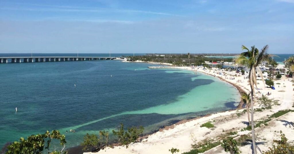 bahia honda state park, weißer sandstrand mit palmen am meer