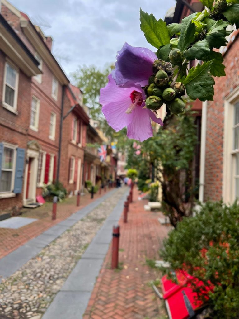 sehenswuerdigkeiten-philadelphia-efreths-alley