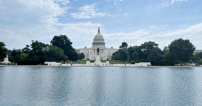 Mehr über den Artikel erfahren Sehenswürdigkeiten in Washington DC mit Kindern erleben