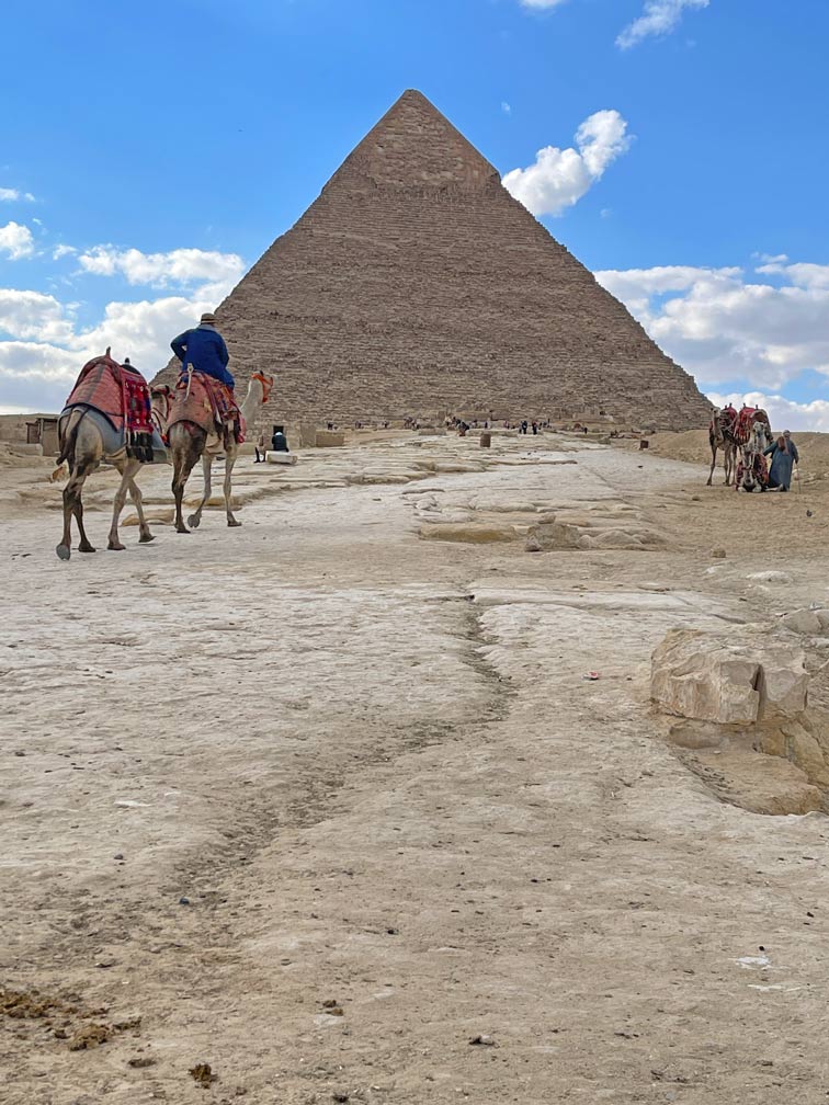 kamel-vor-pyramide-familienreise-pyramiden-von-gizeh
