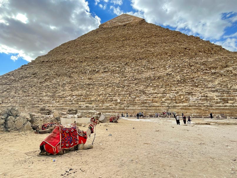 kamel-liegt-vor-pyramide-reisetipps-pyramiden-von-gizeh-individualreise