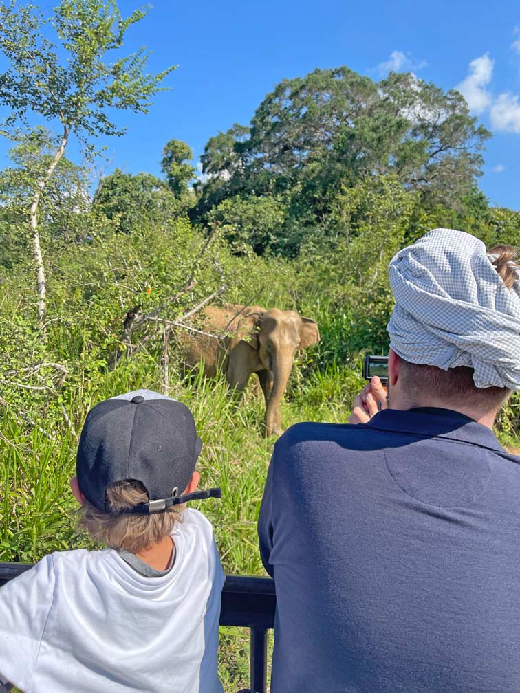 elefanten safari mit kindern in sri lanka