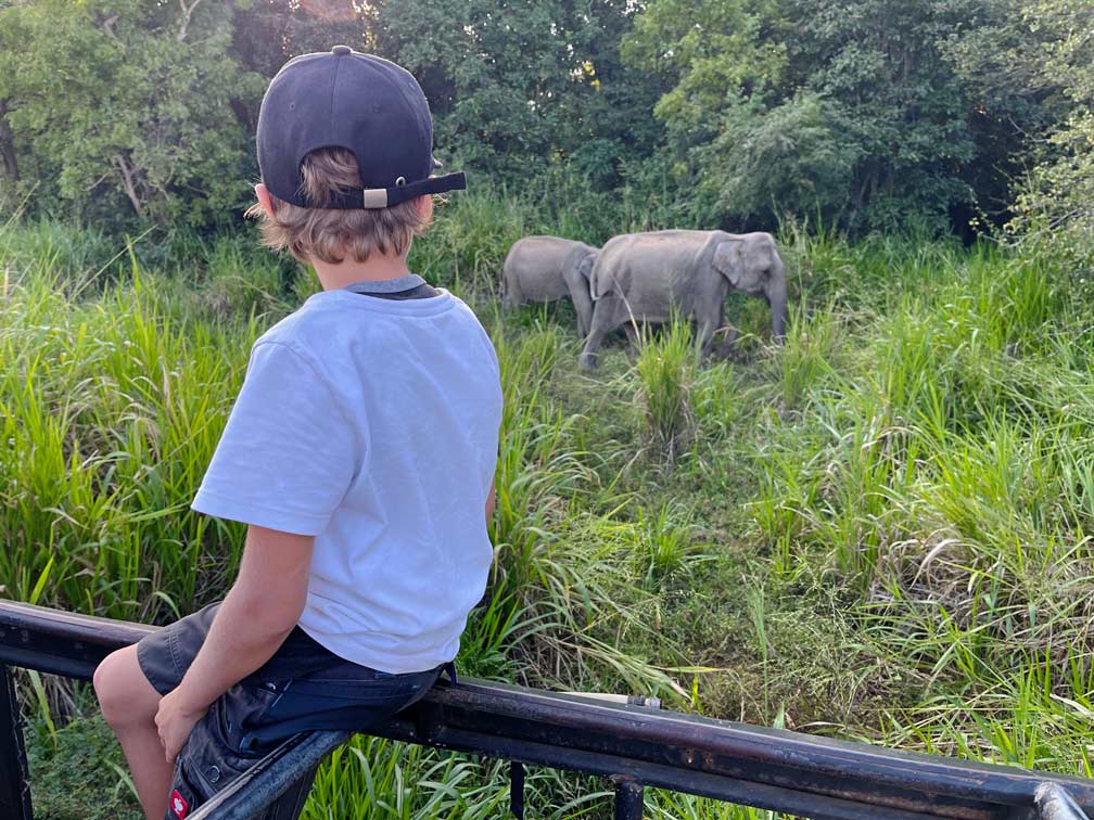 elefantensafari-mit-kindern-sri-lanka-rundreise