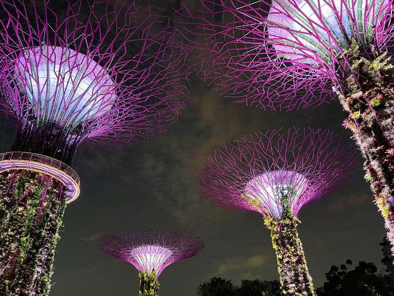 Sehenswürdigkeiten in Singapur - Alle Highlights für Singapur in einem Tag garden-rhapsody-gardens-by-the-bay-highlights-singapur