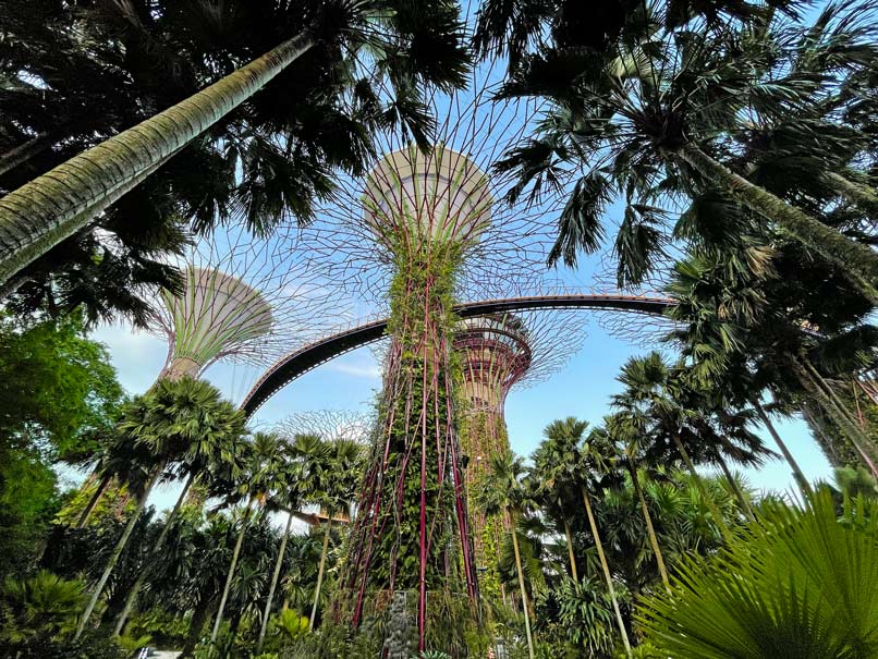 Sehenswürdigkeiten in Singapur - Alle Highlights für Singapur in einem Tag gardens-by-the-bay-supertrees-singapur-sehenswuerdigkeiten